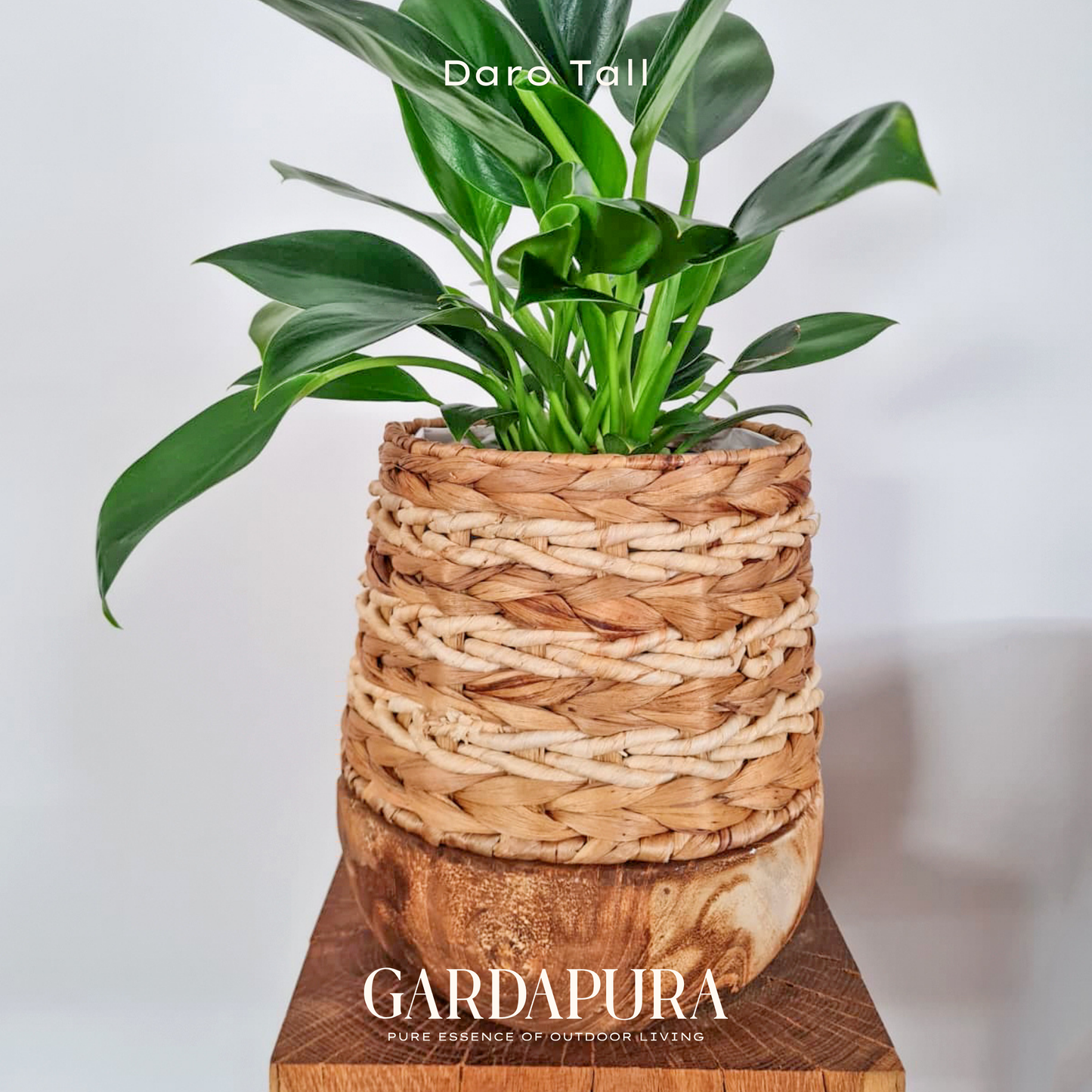 Daro – handgeflochtener Pflanztopf mit Mangoholz