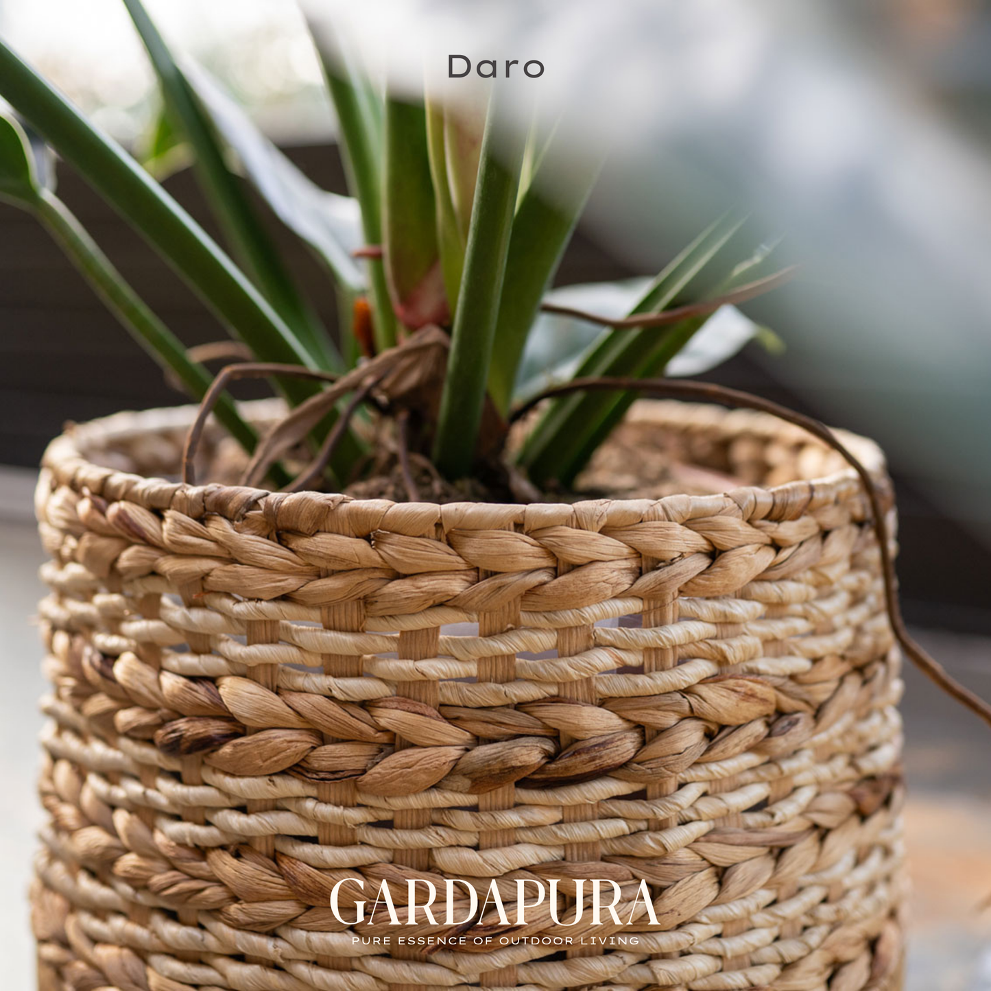 Daro – handgeflochtener Pflanztopf mit Mangoholz