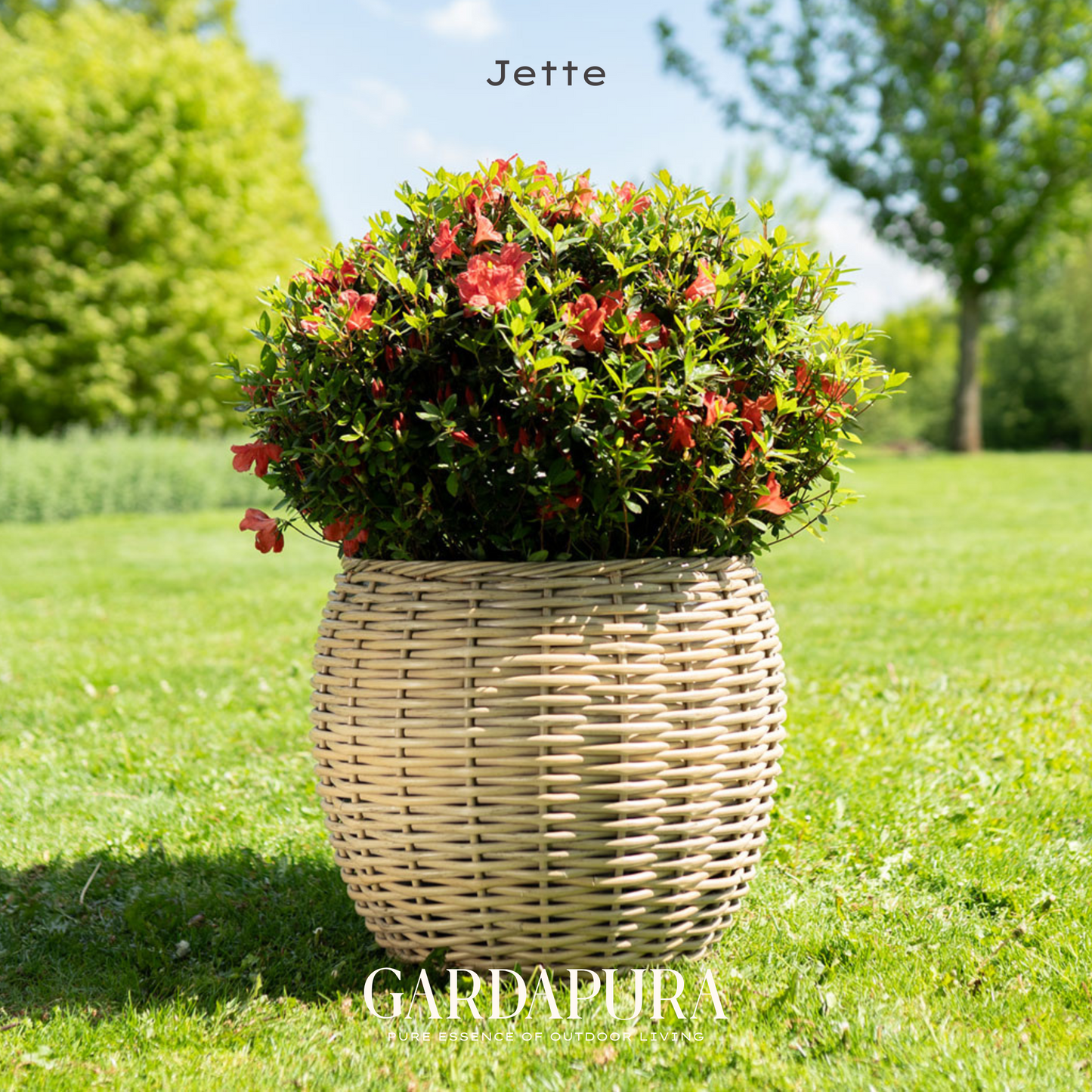 Jette – handgeflochtener Pflanztopf