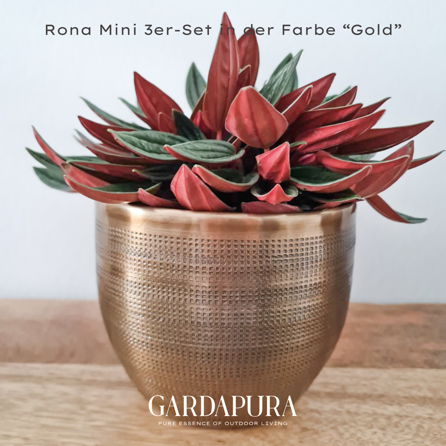 Rona Mini 3er-Set – Pflanztöpfe aus Metall