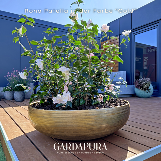 Rona Patella – Pflanzschale aus Metall