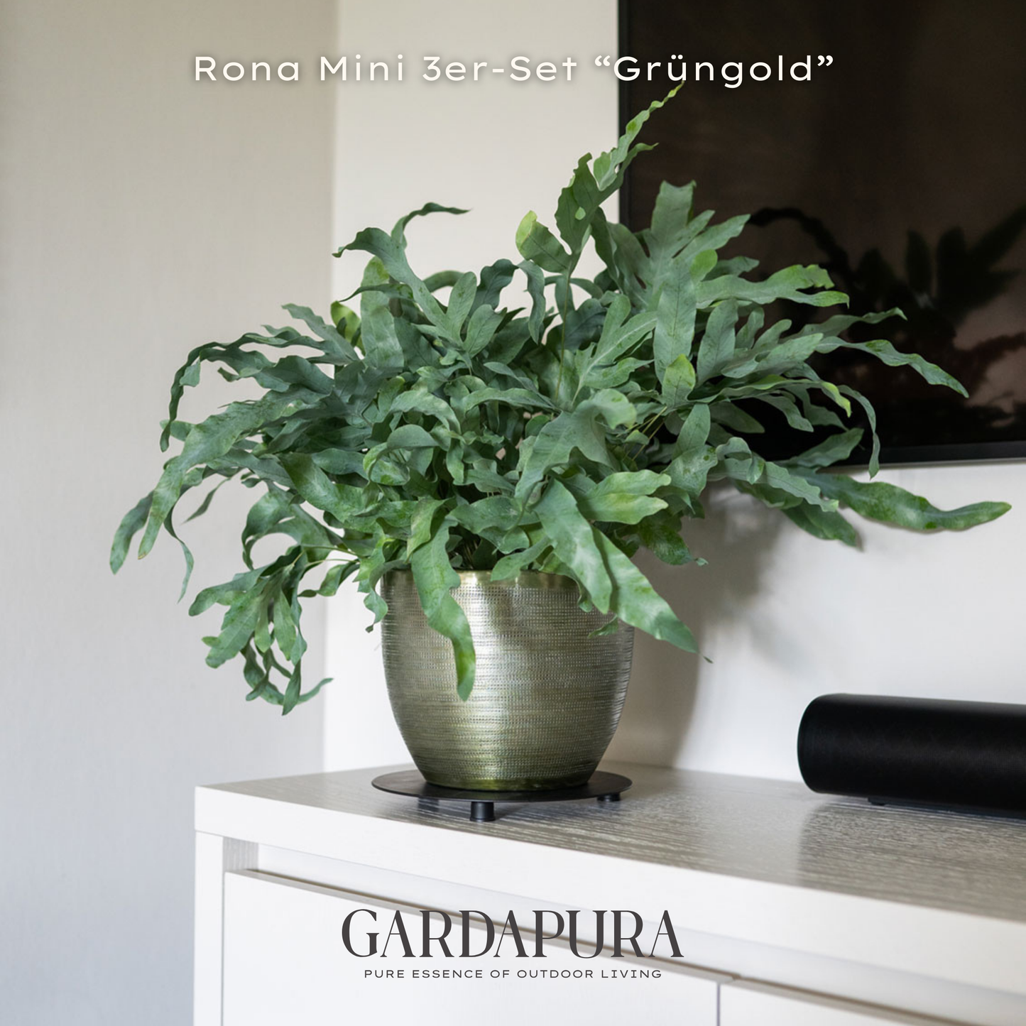Rona Mini 3er-Set – Pflanztöpfe aus Metall