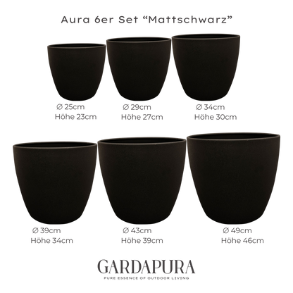 Aura 6er Set