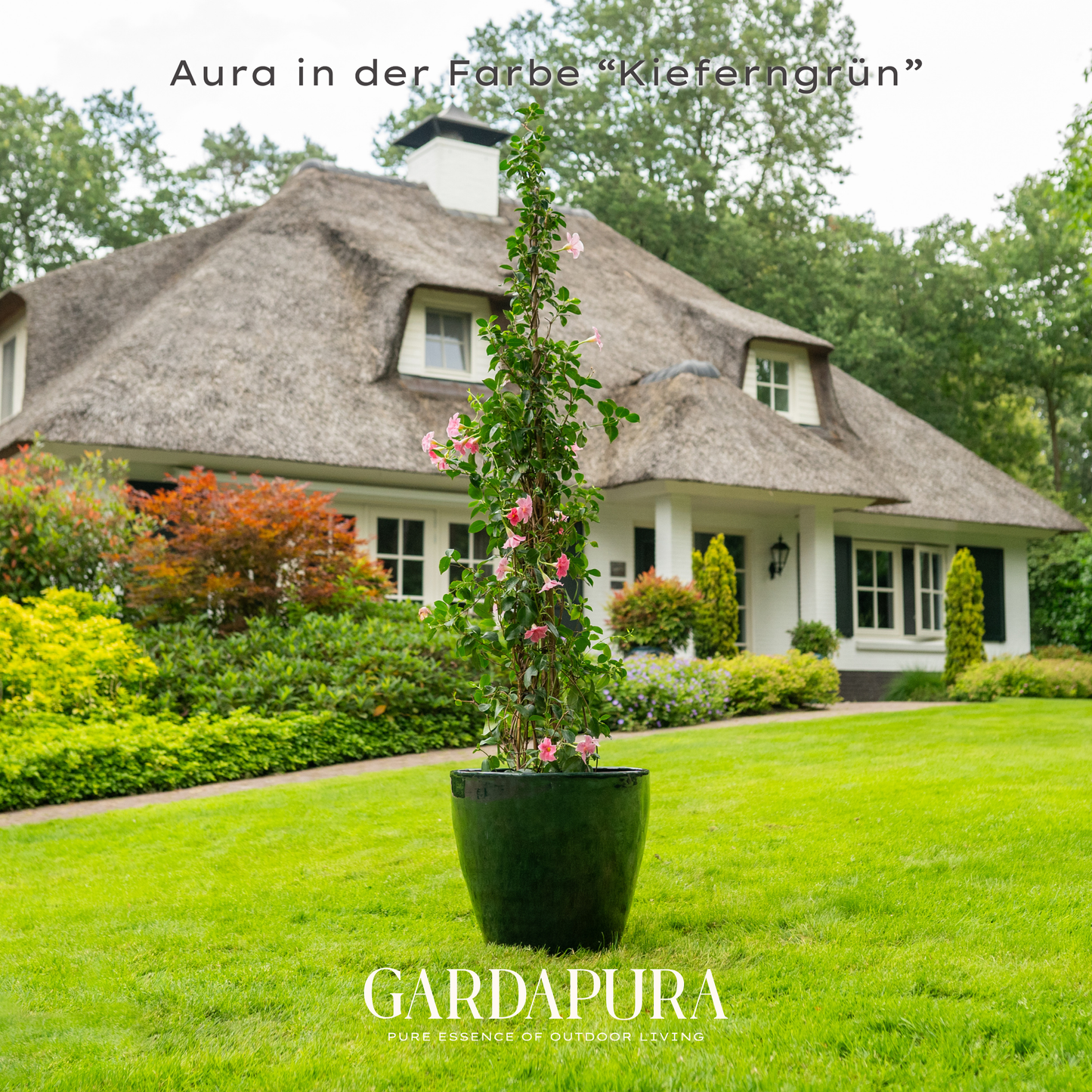 Aura 6er Set