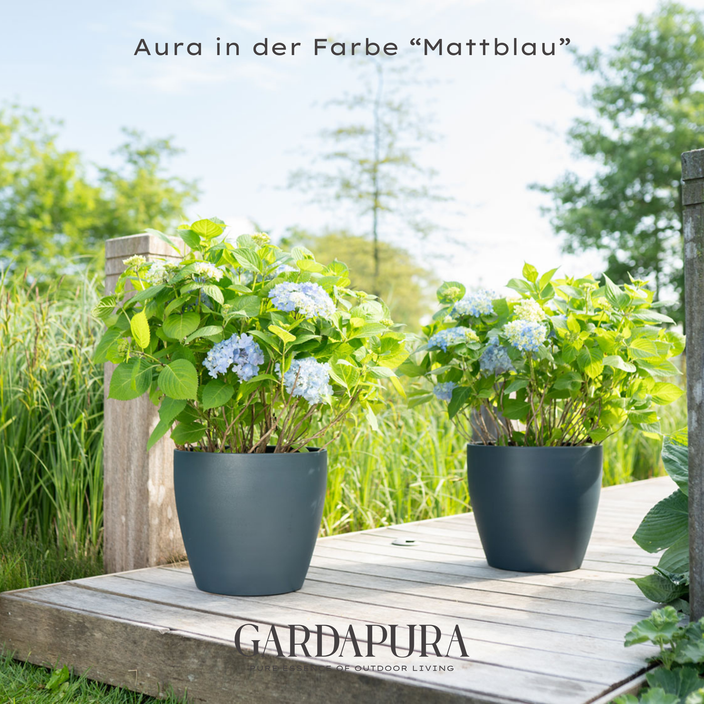 Aura 6er Set