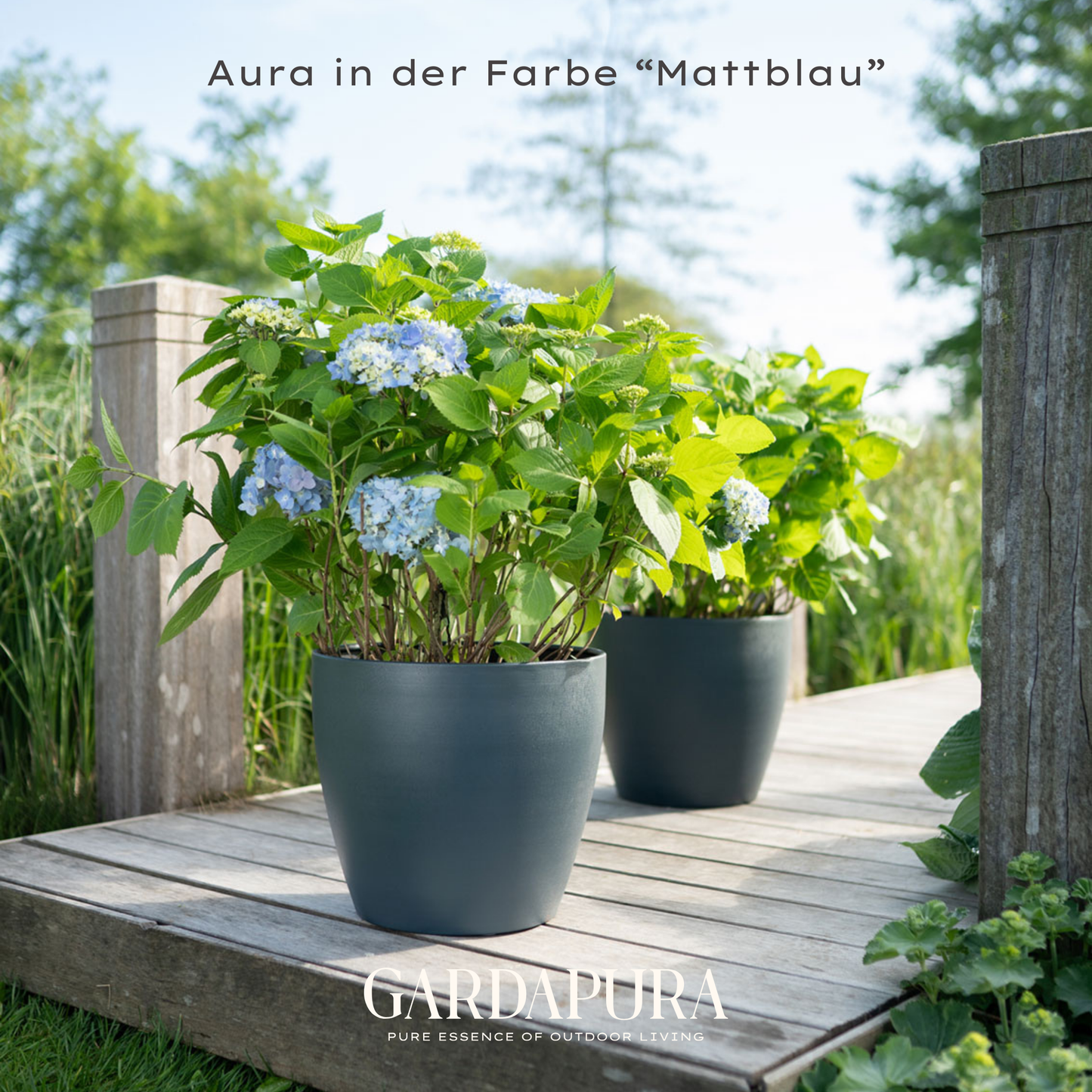 Aura 6er Set