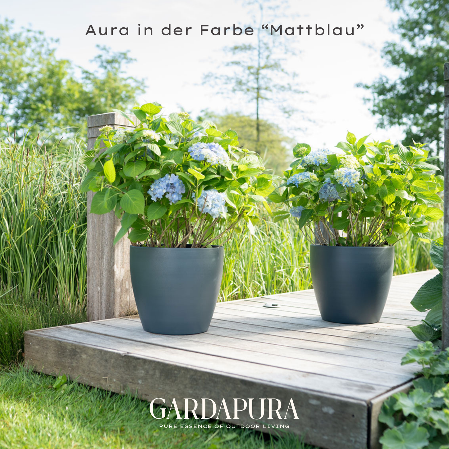 Aura 6er Set