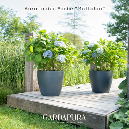 Aura 6er Set