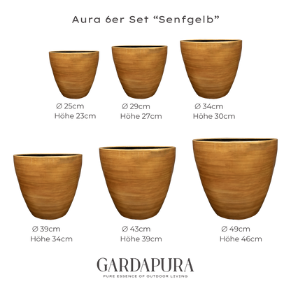 Aura 6er Set