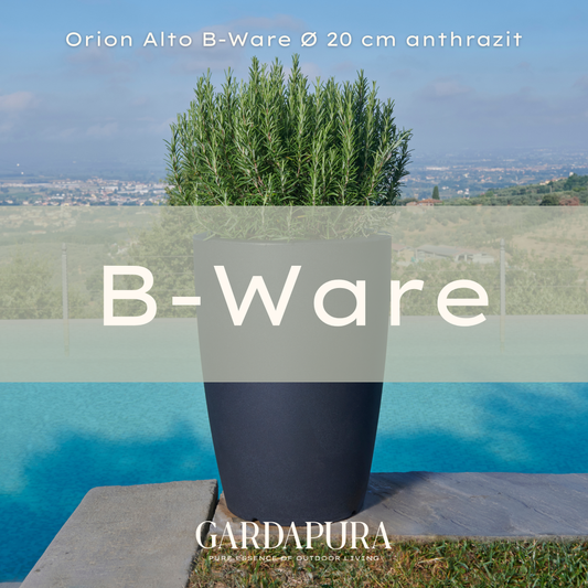 Orion Alto – B-Ware