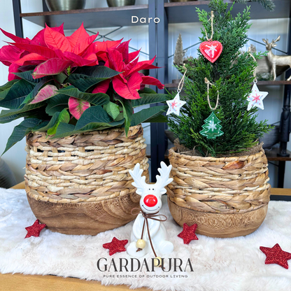 Daro – handgeflochtener Pflanztopf mit Mangoholz