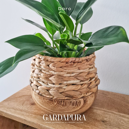 Daro – handgeflochtener Pflanztopf mit Mangoholz