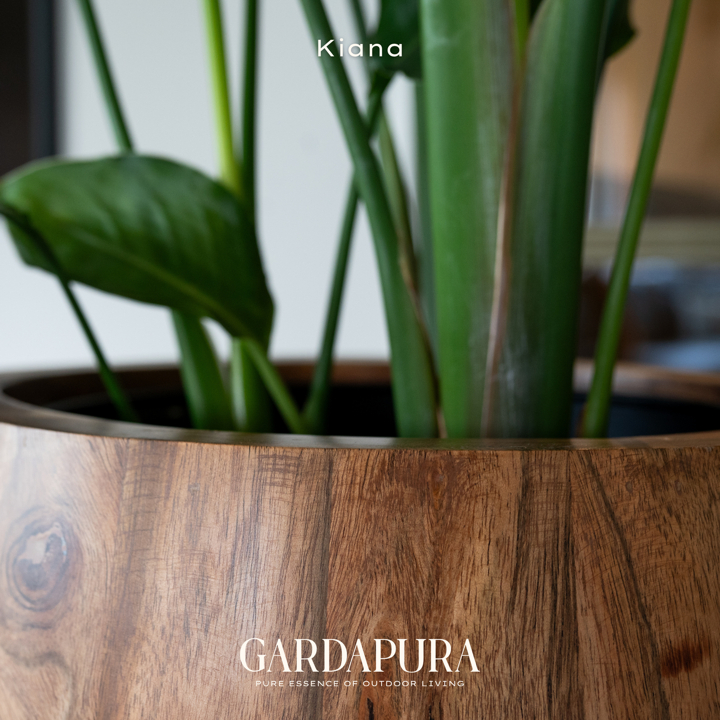 Kiana – Pflanztopf aus Holz