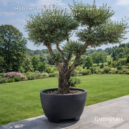 Mobiler Pflanztopf XXL