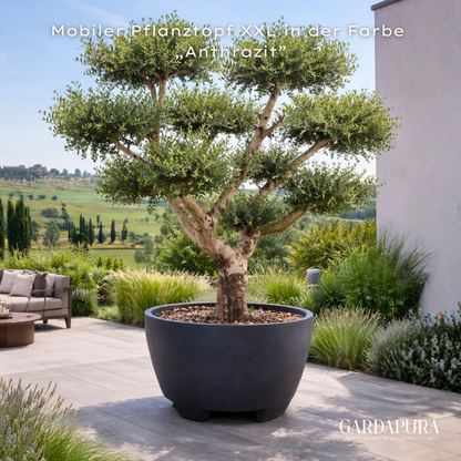 Mobiler Pflanztopf XXL