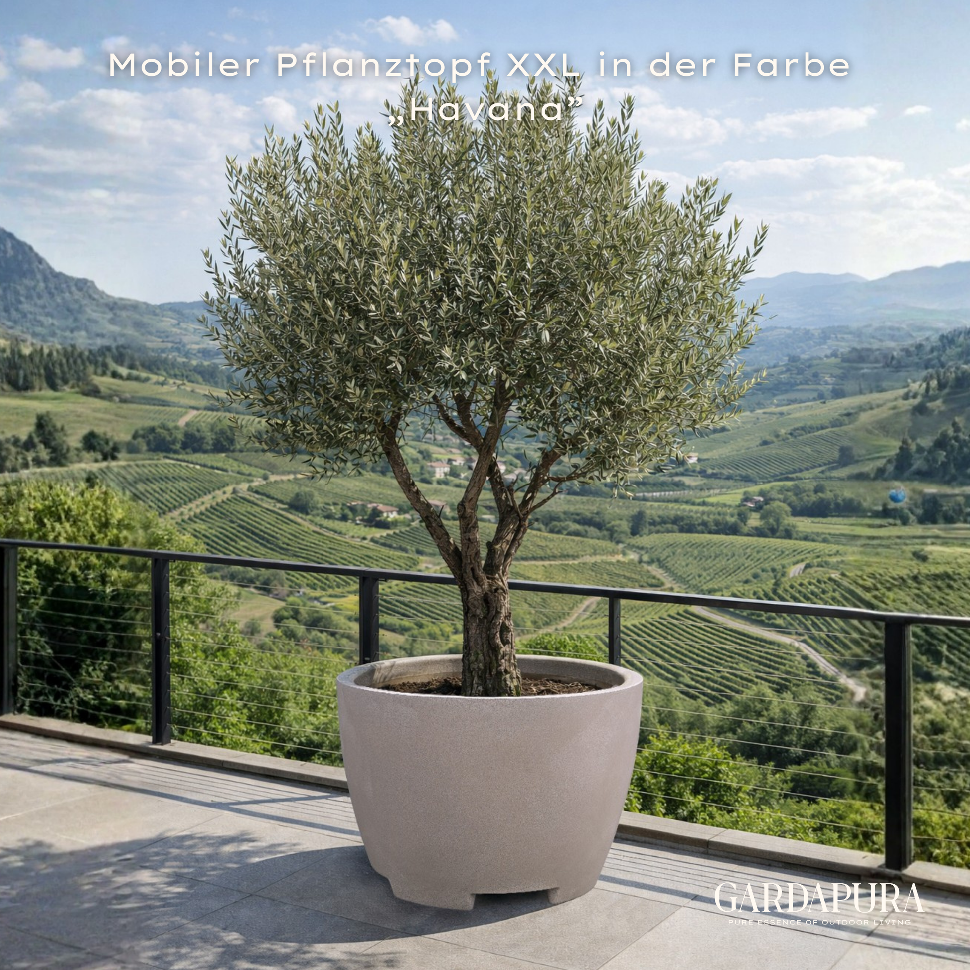 sichtschutzelement mit blumenkasten Flexi-Design Blumenkasten mit Sichtschutz bis 150cm – Potflex main image 0