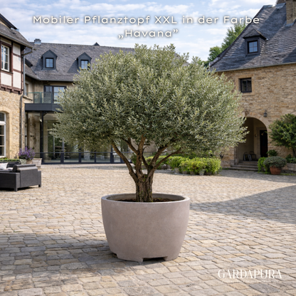 Mobiler Pflanztopf XXL