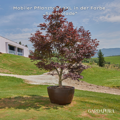 Mobiler Pflanztopf XXL