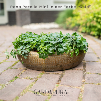 Rona Patella Mini – Pflanzschale aus Metall