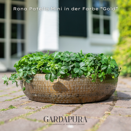 Rona Patella Mini – Pflanzschale aus Metall