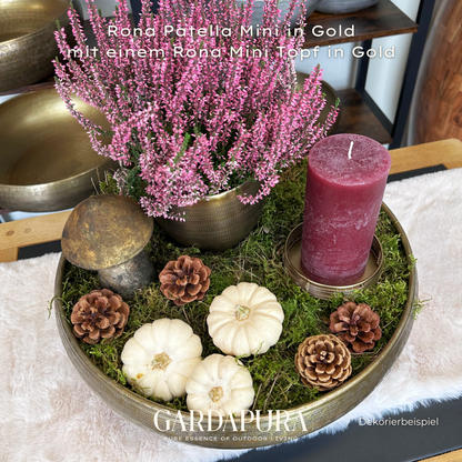 Rona Patella Mini – Pflanzschale aus Metall