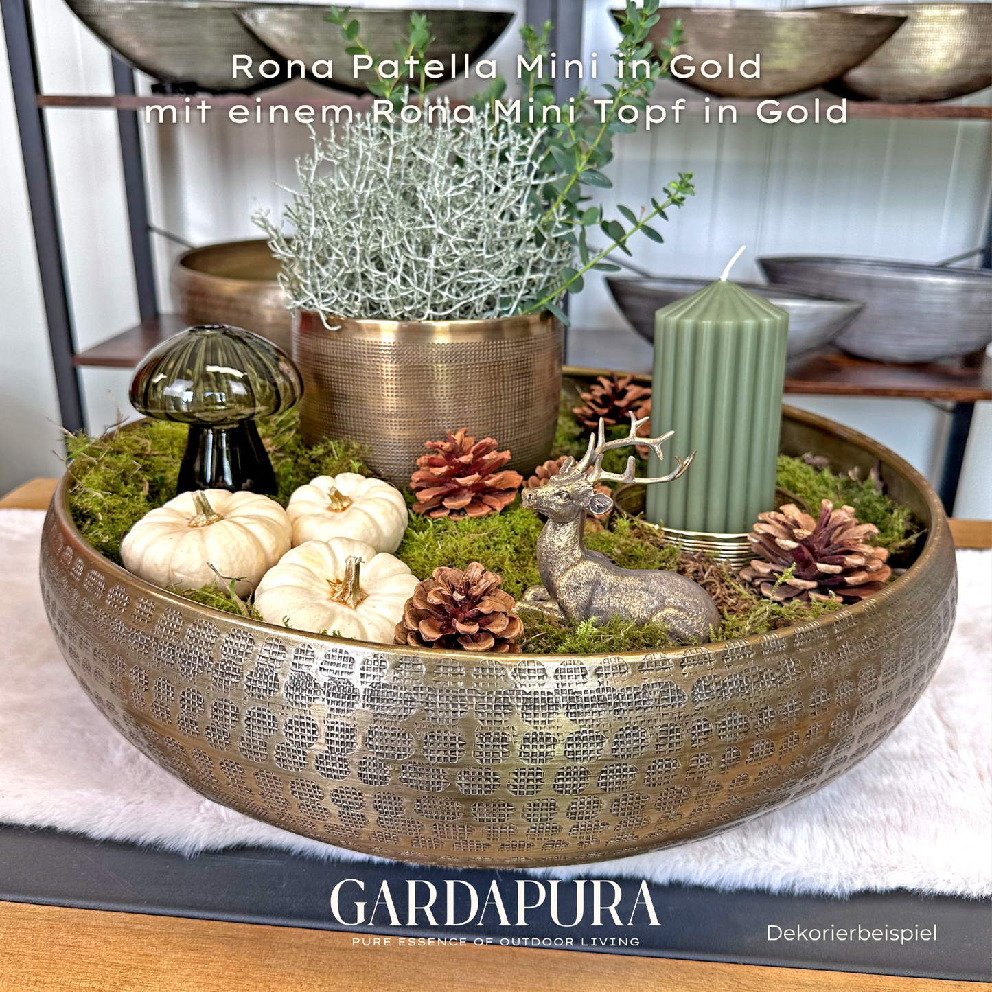 Rona Patella Mini – Pflanzschale aus Metall