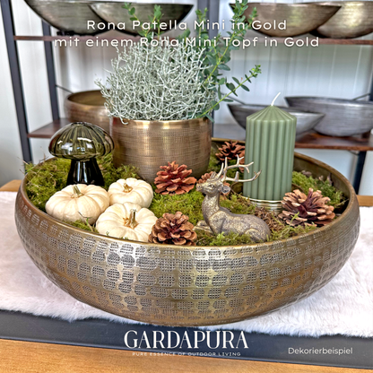 Rona Patella Mini – Pflanzschale aus Metall
