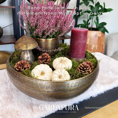 Rona Patella Mini – Pflanzschale aus Metall
