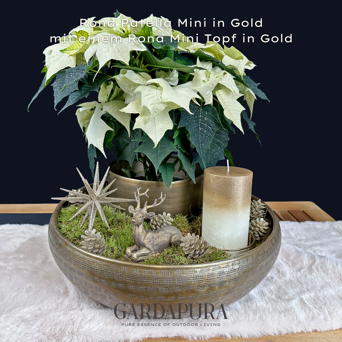 Mini Rona Rona Patella Mini – Pflanzschale aus Metall – Gardapura