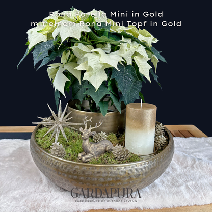 Rona Patella Mini – Pflanzschale aus Metall